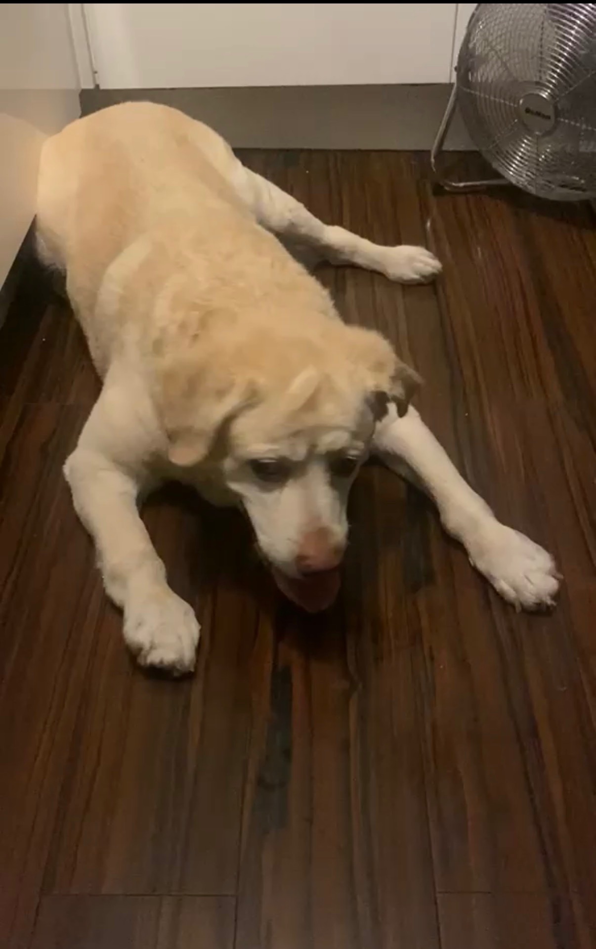 Give Lucy Her Strength Back